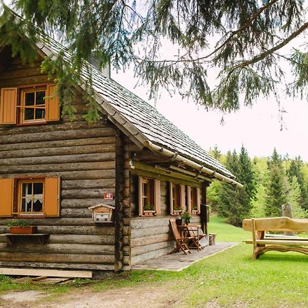 Wood House Irena-Pocitniska Hisa Villa Bohinji-tó Kültér fotó